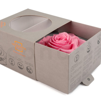 Stabilisierte Rose Verdissimo XXL - 1 St. - Pastel Pink
