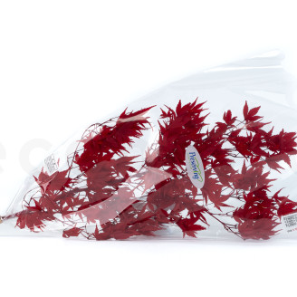 Acero giapponese stabilizzato - Rosso