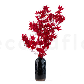 Japanese Maple Stabilized - Red