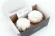Dalia Grace stabilizzato Bianco (x2) 11