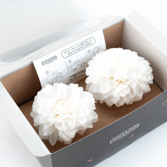 Dahlia Grace Stabilized - Box of 2 - White