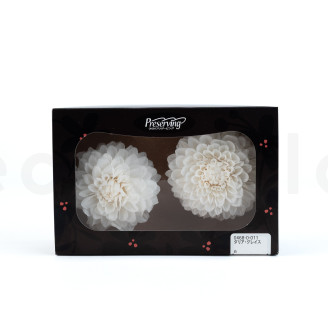 Dahlia Grace Stabilized - Box of 2 - White