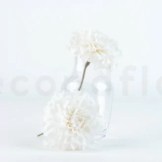 Preserved Dahlia Grace White (x2)