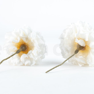 Dahlia Grace Stabilized - Box of 2 - White