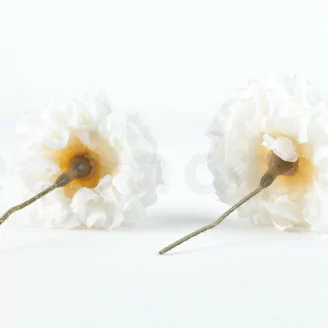 Preserved Dahlia Grace White (x2)