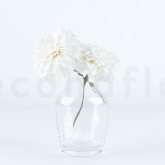 Dalia Grace Stabilizzato - Scatola da 2 - Bianco