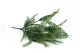 Lepidium artificiel - Ignifug&eacute; 5