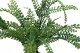 Artificial Lepidium - Fire retardant 3