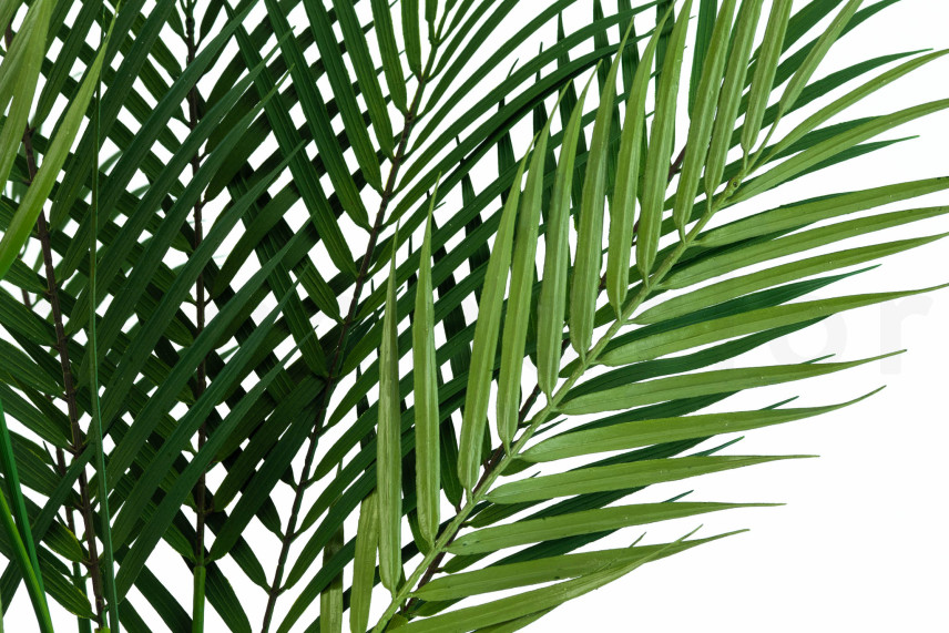K&uuml;nstliche Areca-Palme - Gr&uuml;n