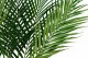Hoja de Areca artificial - Ign&iacute;fuga 2