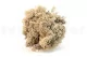 Lichene stabilizzato Crema (Creabox S) 3