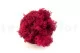 Preserved Reindeer Moss Fuchsia (Creabox S) 3
