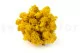 Lichene stabilizzato Giallo (Creabox S) 3