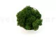 Konserviertes Islandmoos Forest Green (Creabox M) 3