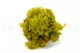 Lichen stabilis&eacute; Lime Green (Creabox M) 3