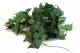 Artificial Helix Ivy Garland - Fire retardant 4