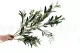 Artificial Olive Branch 3