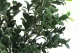 Artificial Boxwood - Fire retardant 2