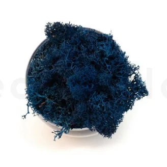 Lichen stabilis&eacute; Bleu (Creabox M)