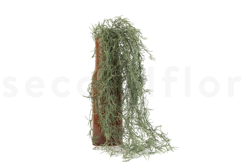 Chute de Tillandsia Artificiel - Gris
