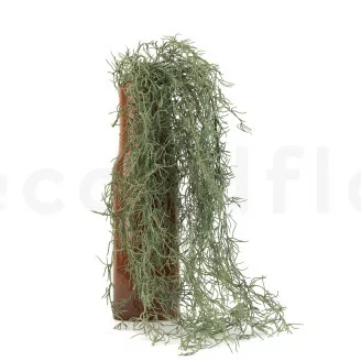 Chute de Tillandsia artificielle Gris - Ignifug&eacute;e
