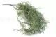 Tillandsia artificiale Ricadente Grigio - Ignifuga 3