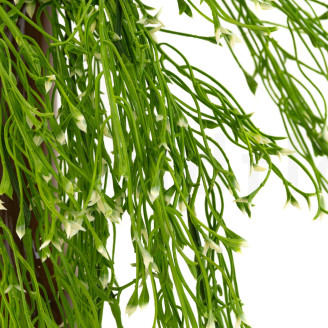 Colgante de Rhipsalis artificial con flores Ign&iacute;fuga - Verde