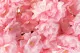 Artificial Cherry Blossom Branch Light Pink 2