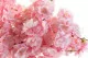 Rama de Cerezo artificial Rosa Claro 5