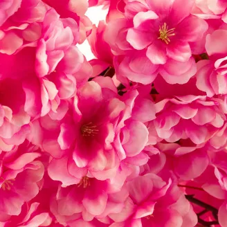 Rama de Cerezo Artificial - Rosa oscuro