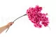 Ramo di Ciliegio artificiale Rosa 3