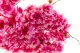 Rama de Cerezo artificial Rosa 5