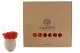 Preserved Reindeer Moss Orange (Box) 8