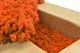 Lichen stabilis&eacute; Orange (Carton) 1