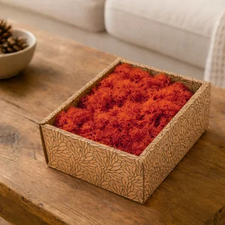 Konserviertes Islandmoos Orange (Creabox S)