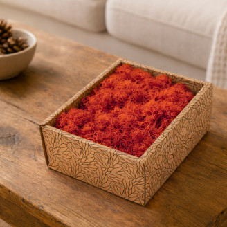 Lichene preservato - Creabox S - Arancione