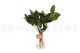 Salal stabilis&eacute; Vert 9