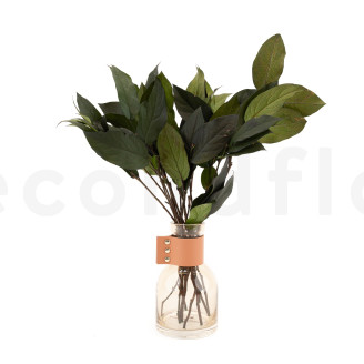 Salal Stabilizzato - Verde