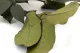Preserved Salal Green 6