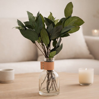 Salal Preservado - Verde