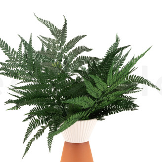 Leather Fern Stabilized - Green
