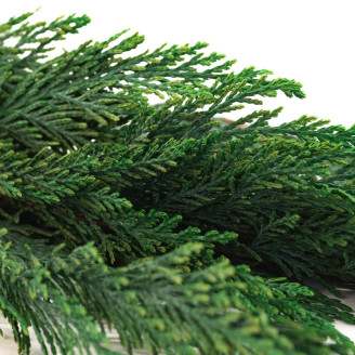 Thuja stabilized - Green