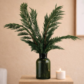 Thuja preserved - Green