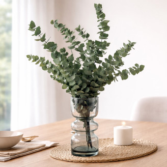 Eucalyptus Stuartiana Stabilized - Green