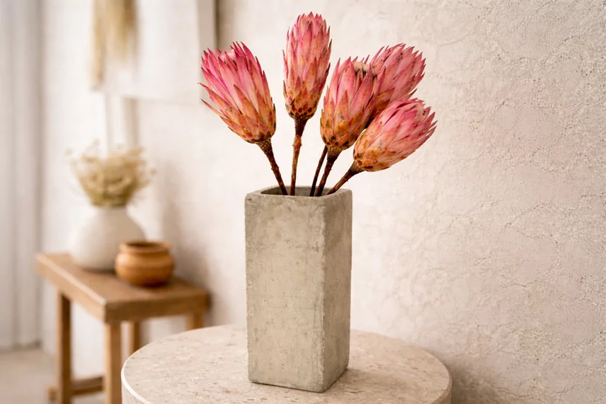 Getrocknete Protea Repens Rosa (x5)