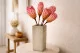 Getrocknete Protea Repens Rosa (x5) 1
