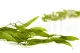 Konservierter Ruscus Italienisch 5