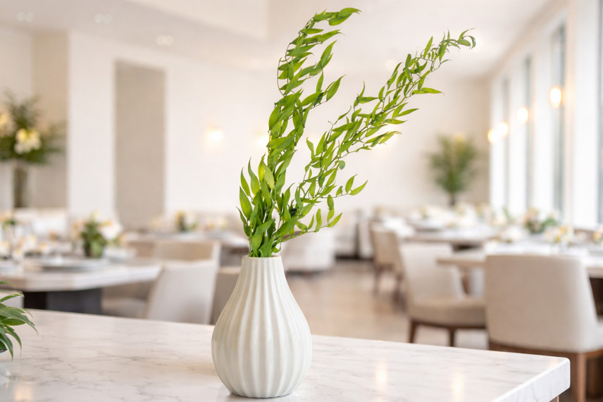 Ruscus Italiano stabilizzato -  Lime Green