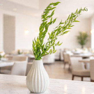 Italian Ruscus Stabilized - Lime Green