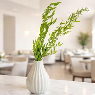 Ruscus Italiano Preservado -  Lime Green